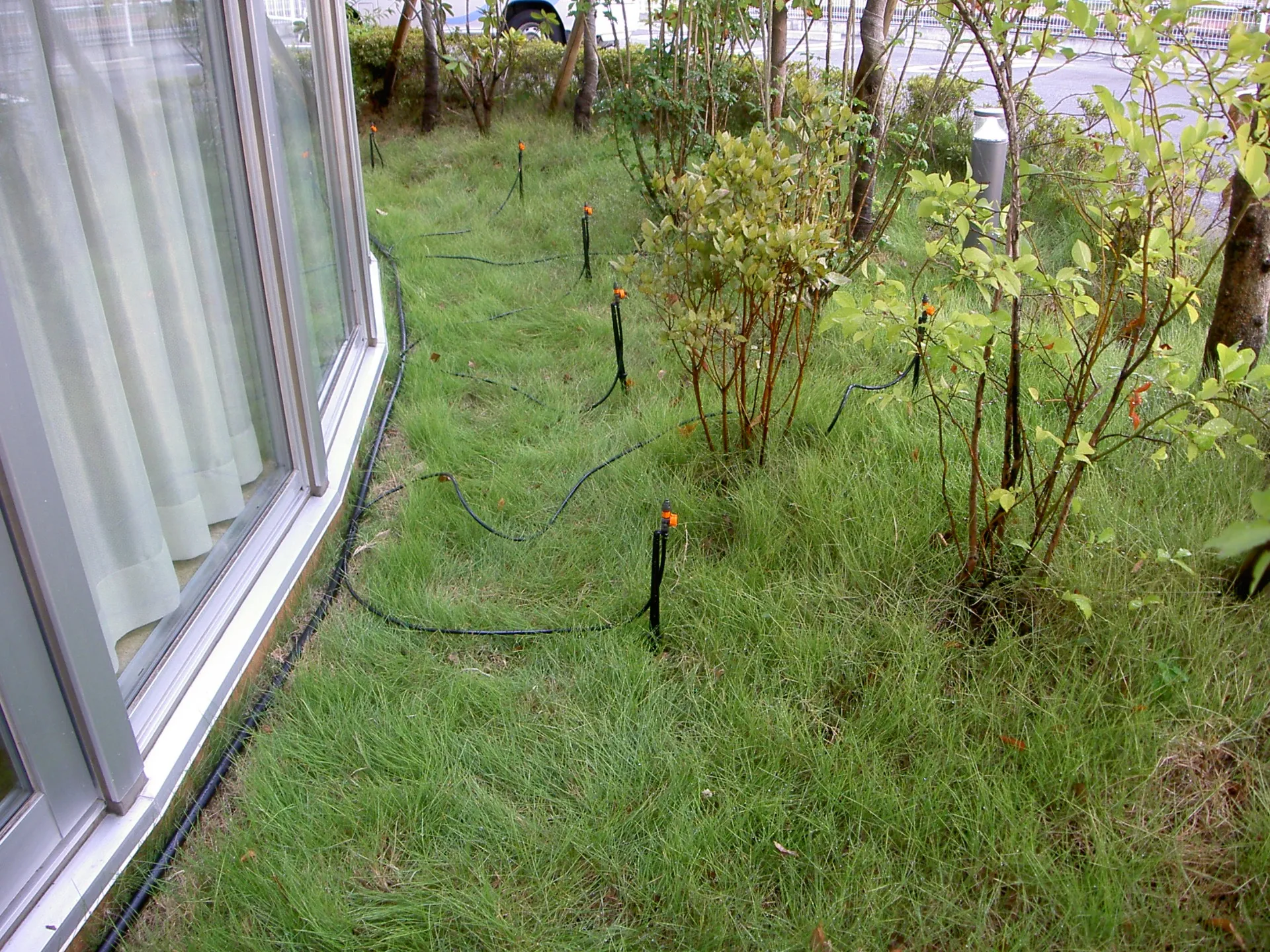 自動灌水設備の施工